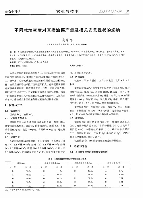 不同栽培密度对直播油菜产量及相关农艺性状的影响