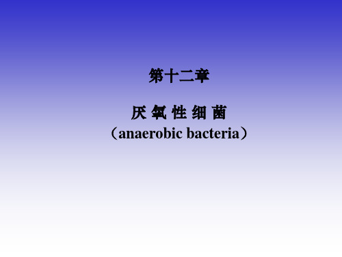 10-厌氧菌、分枝杆菌、棒状杆菌