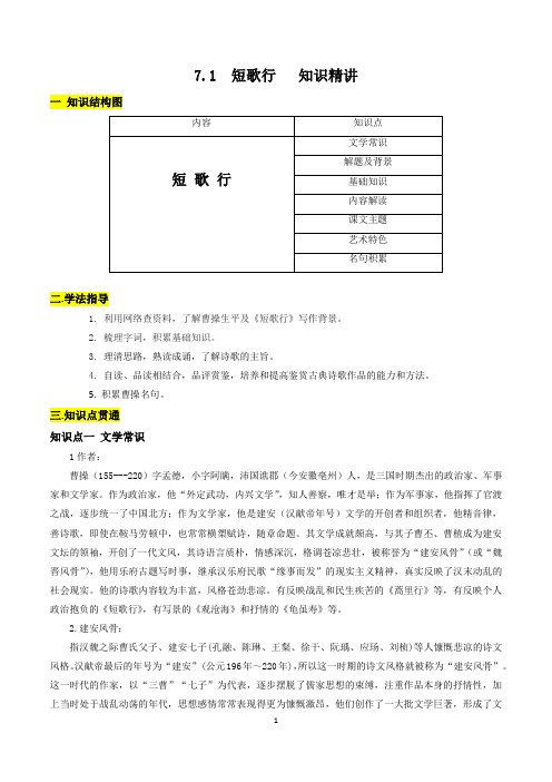 知识精讲：短歌行(解析版)