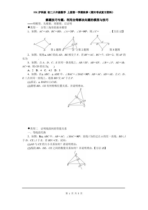 HK沪科版 初二八年级数学 上册第一学期(期末考试复习资料)6.解题技巧专题：利用全等解决问题的模型与技巧