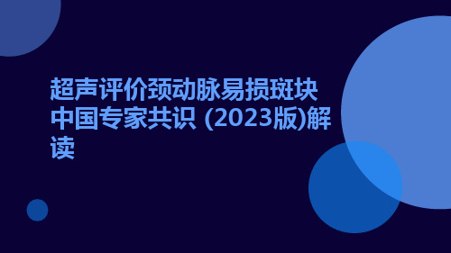 超声评价颈动脉易损斑块中国专家共识 (2023版)解读ppt课件