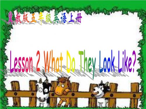 【最新】冀教版五年级英语上册《Lesson 2 What Do They Look Like》优质课课件