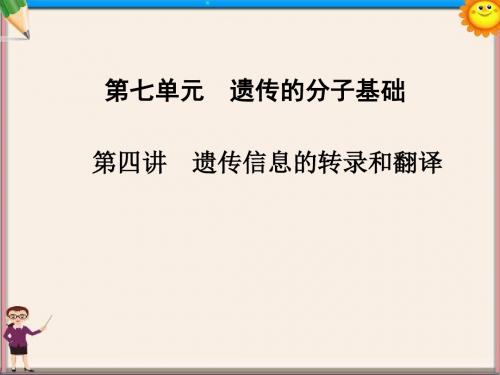 高中生物 第七单元 第四讲 遗传信息的转录和翻译课件