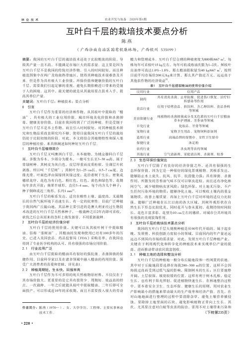 互叶白千层的栽培技术要点分析