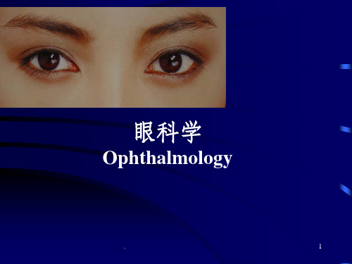 眼科第一次课眼科基础解剖及生理功能介绍