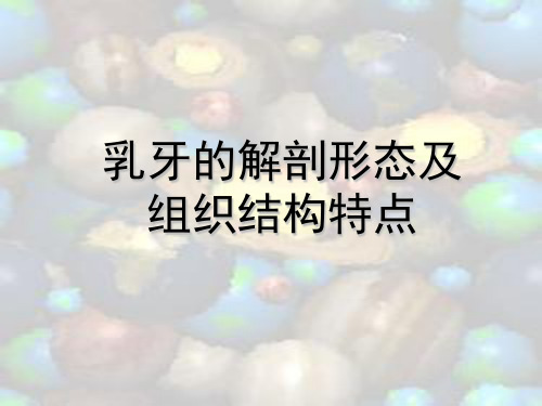 乳牙的解剖发育及发育异常