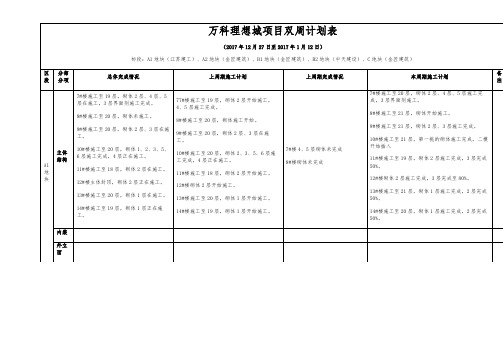 双周会计划