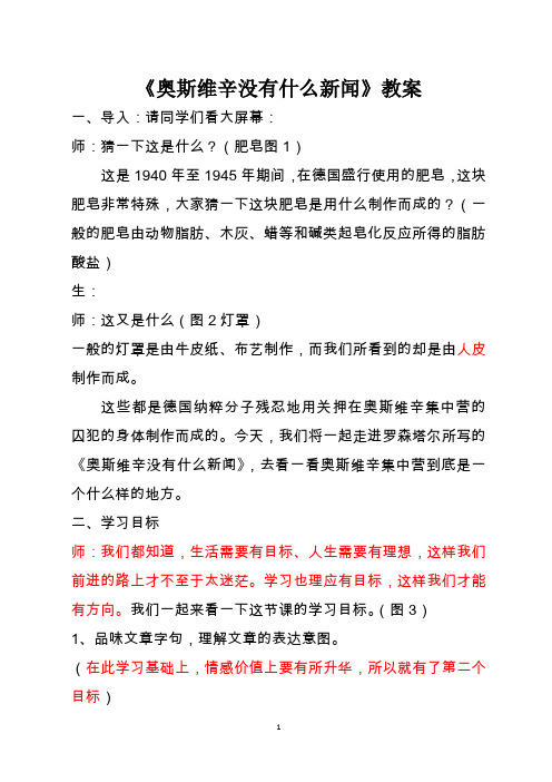 奥斯维辛没有什么新闻教案(1)