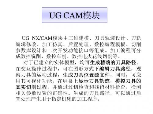 ug-cam01