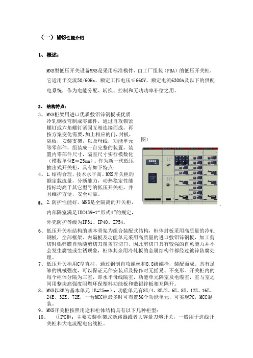 MNS概述