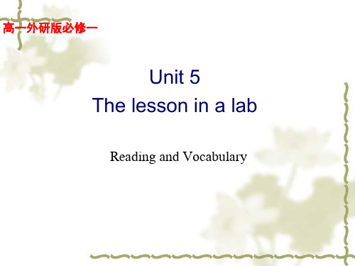 外研版英语必修一 Module 5Reading and vocabulary 课件