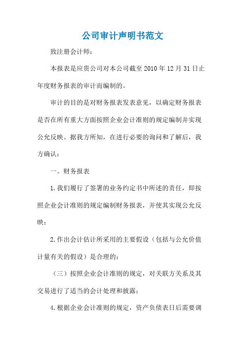 公司审计声明书范文