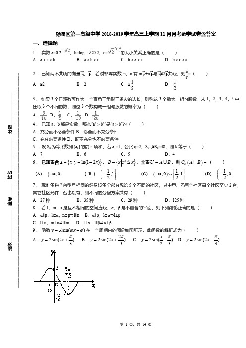 杨浦区第一高级中学2018-2019学年高三上学期11月月考数学试卷含答案