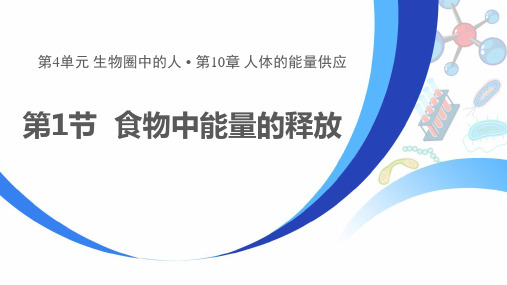 《食物中能量的释放》PPT优秀课件教学课件