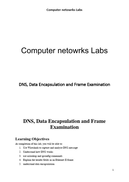 计网实验DNS, Data Encapsulation and Frame Examination