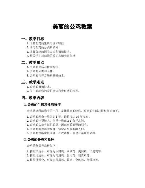 美丽的公鸡教案