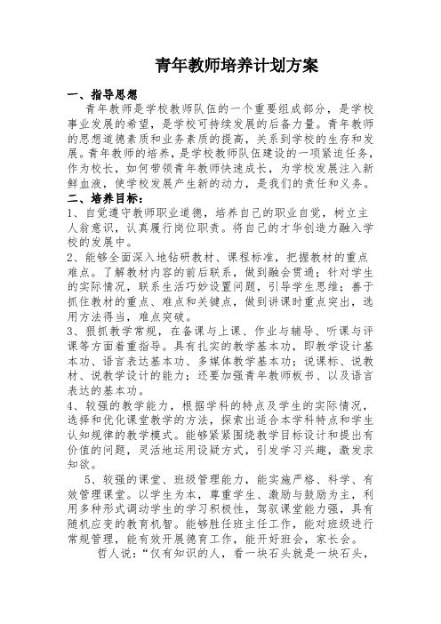 青年教师培养计划及方案