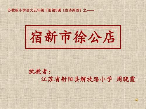 苏教版小学语文五年级下册《古诗两首》之《宿新市徐公店》(紫雨)