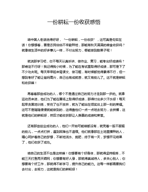 一份耕耘一份收获感悟