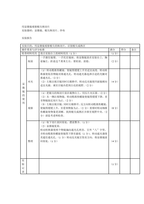 用显微镜观察根尖纵切片