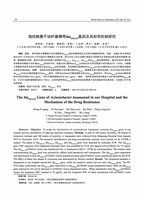 我院鲍曼不动杆菌携带bla_(OXA-23)基因及其耐药机制研究