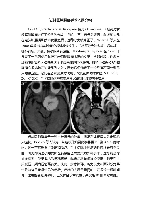 岩斜区脑膜瘤手术入路介绍