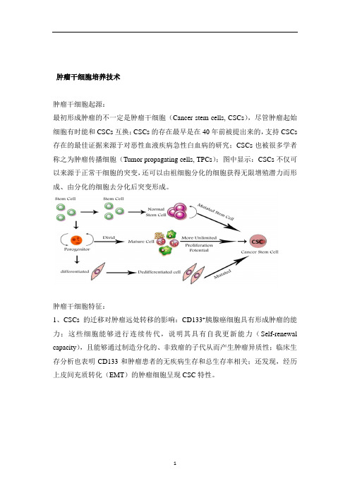 肿瘤干细胞培养技术分享