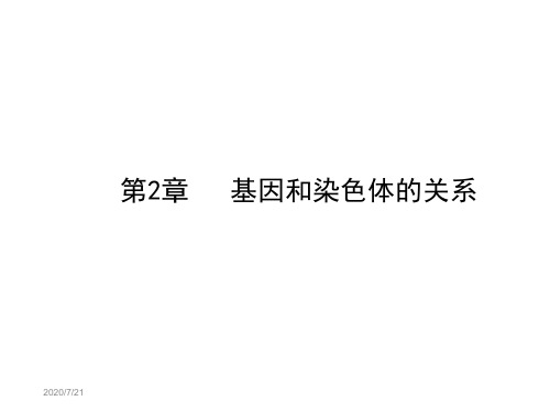 名校联盟湖南省永兴县第五中学高中生物必修二课件必修2第2章第1节减数分裂和受精作用