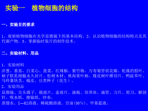 植物细胞和组织