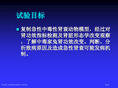 肾功能不全试验的实验报告专家讲座