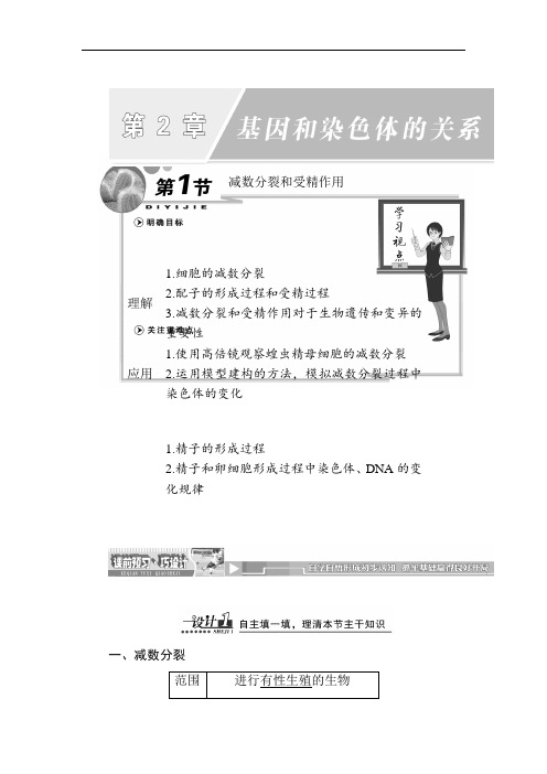 最新高中生物-减数分裂和受精作用 精品