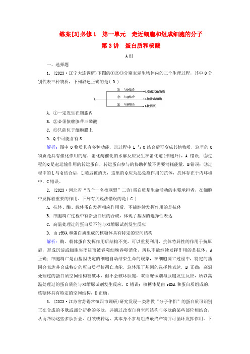 高考生物一轮总复习练案3必修1分子与细胞第一单元走近细胞和组成细胞的分子第3讲蛋白质和核酸