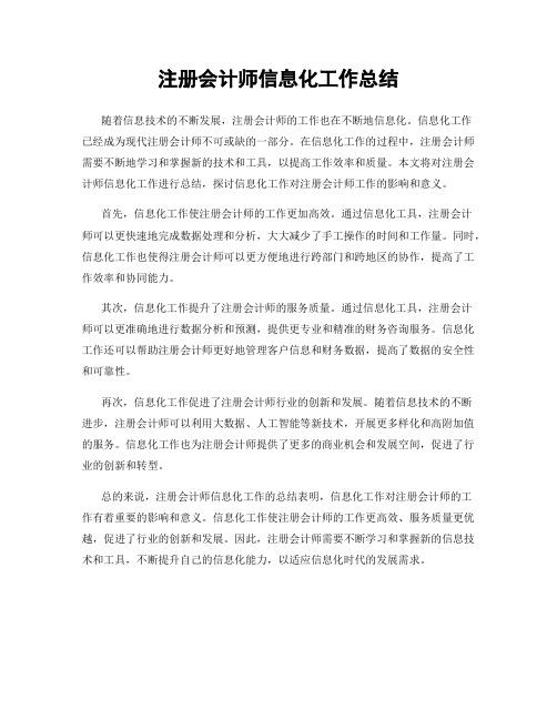 注册会计师信息化工作总结