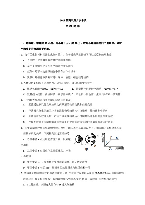 江西省南昌市2019届高三第六次考试生物试题Word版含答案