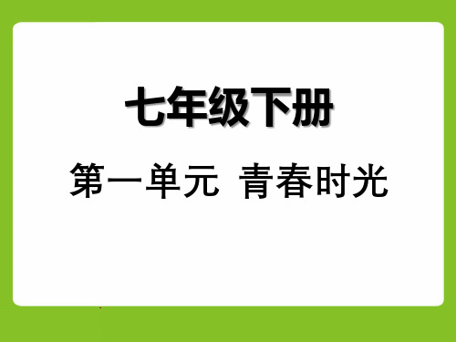 2019年中考《道德与法治》第一轮复习课件 七年级下册(42张ppt,部分为图片版)