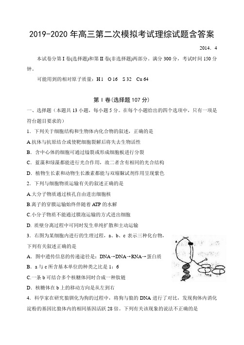 2019-2020年高三第二次模拟考试理综试题含答案.doc