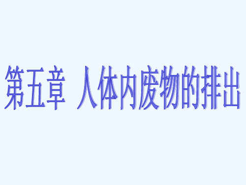 生物人教版七年级下册泌尿系统的组成以及尿液的形成过程精品PPT课件