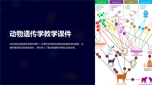 动物遗传学教学课件