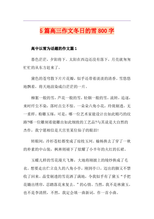 5篇高三作文冬日的雪800字