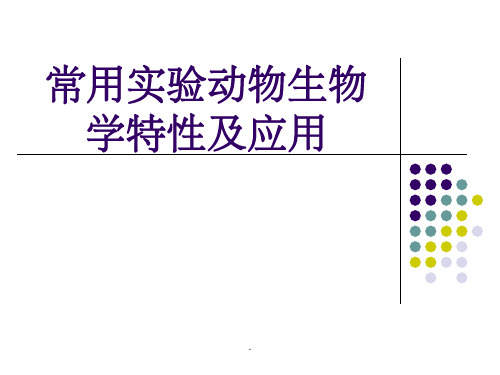 常用实验动物