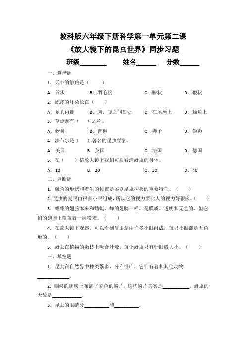 教科版六年级下册科学第一单元第二课《放大镜下的昆虫世界》同步习题