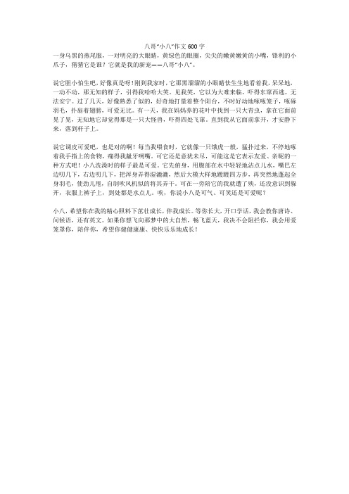 八哥“小八”作文600字