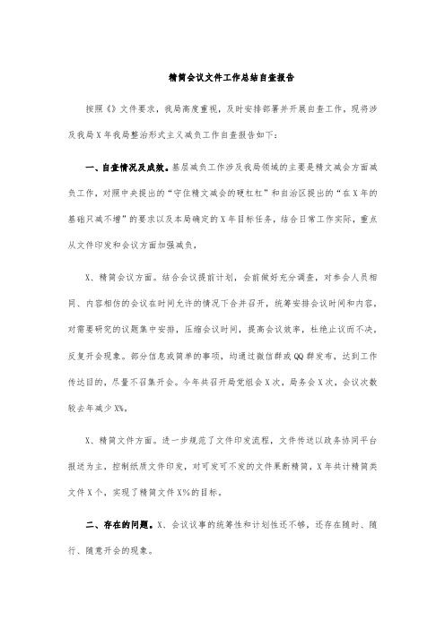 精简会议文件工作总结自查报告