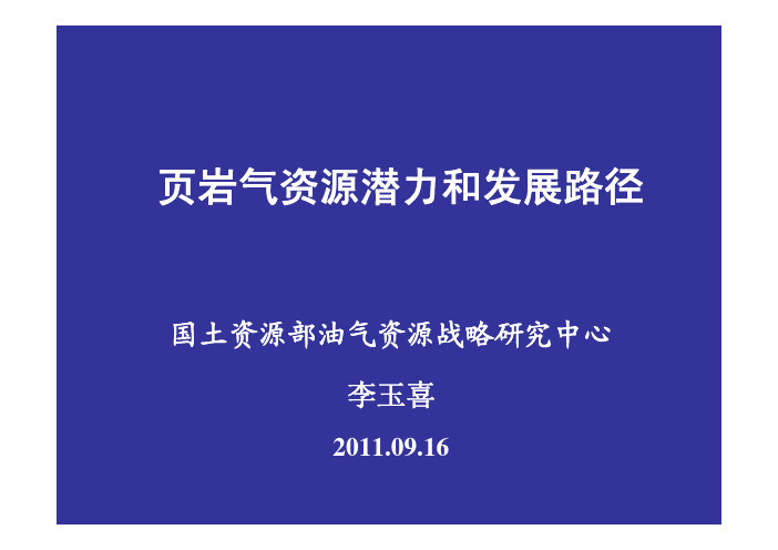 国内外页岩气进展-李玉喜