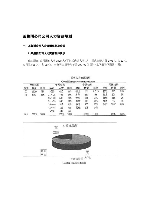 某客车集团公司公司人力资源规划