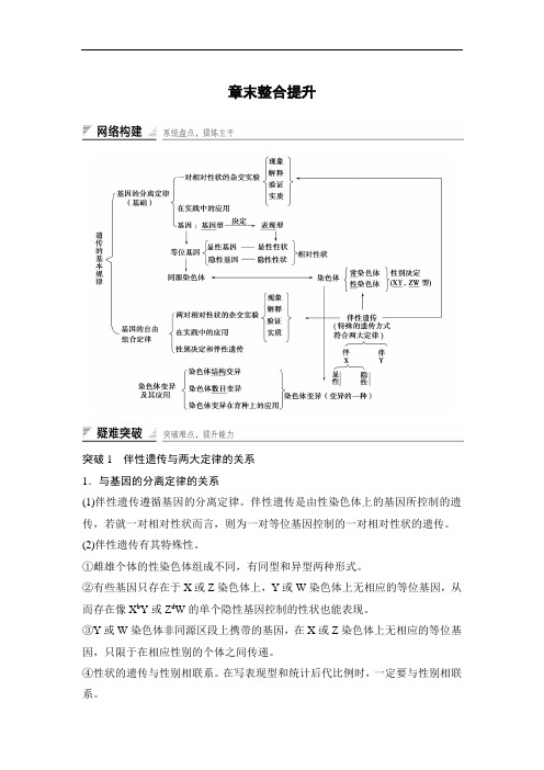 高中生物(苏教版必修二) 精品导学案：第3章 章末整合提升