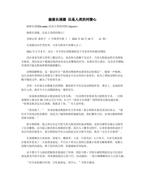 拯救长颈鹿 还是人类的同情心