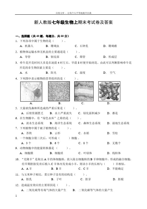 新人教版七年级生物上期末考试卷及答案