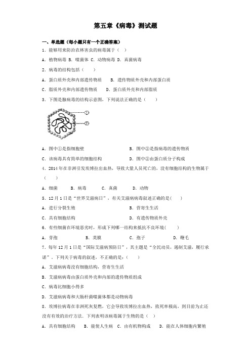 人教版生物八年级上册第五单元第五章《病毒》测试题(含答案)