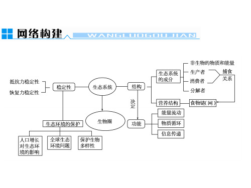 生态系统的结构生态系统组成成分